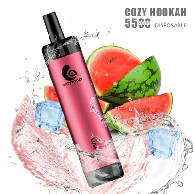 Rechargeable 5500puffs Cozy Hookah 5500puffs disposable vape pen